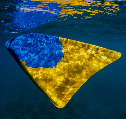 Swim fins
